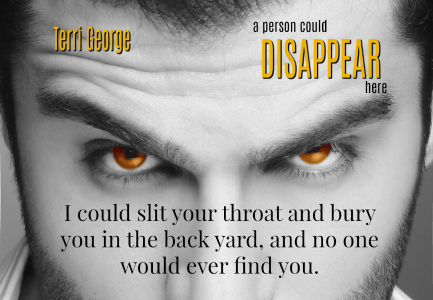 5🌟 “Heart-thumping stuff.” “A gripping page-turner that doesn’t let up.”
getbook.at/APersonCouldDi… #APersonCouldDisappearHere #FreeonKU #gr8books4u