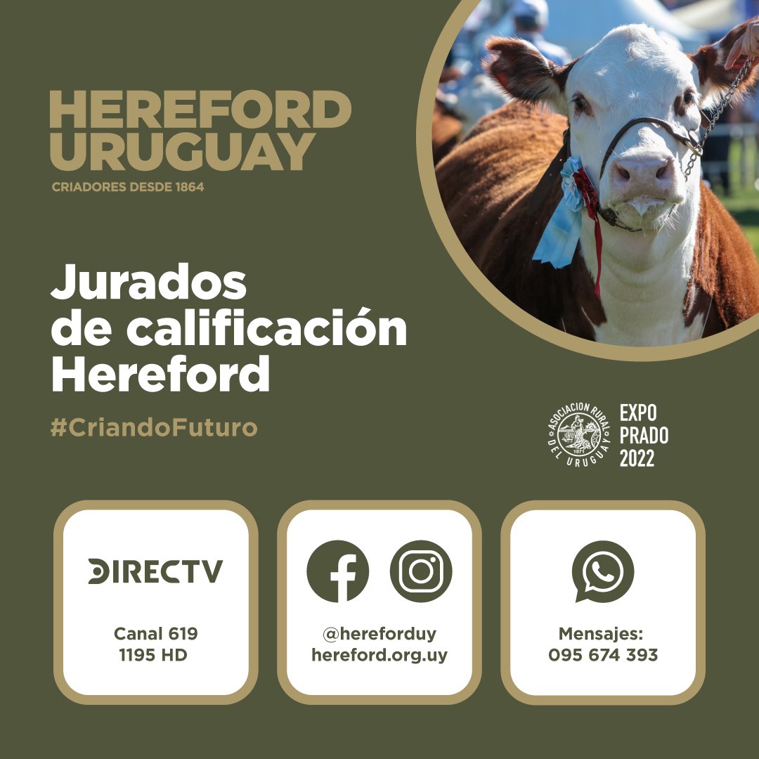 hereforduy's tweet photo. Mañana miércoles pisan la pista las hembras Hereford y podes seguir en vivo el Jurado de Calificación a cargo del Ing. Agr. Andrés Peñagaricano. #HerefordUruguay #LaRazaPaís #CriandoFuturo https://t.co/nEAiX8BFp0
