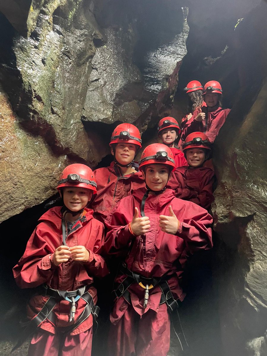 Bonaly Primary tweet media