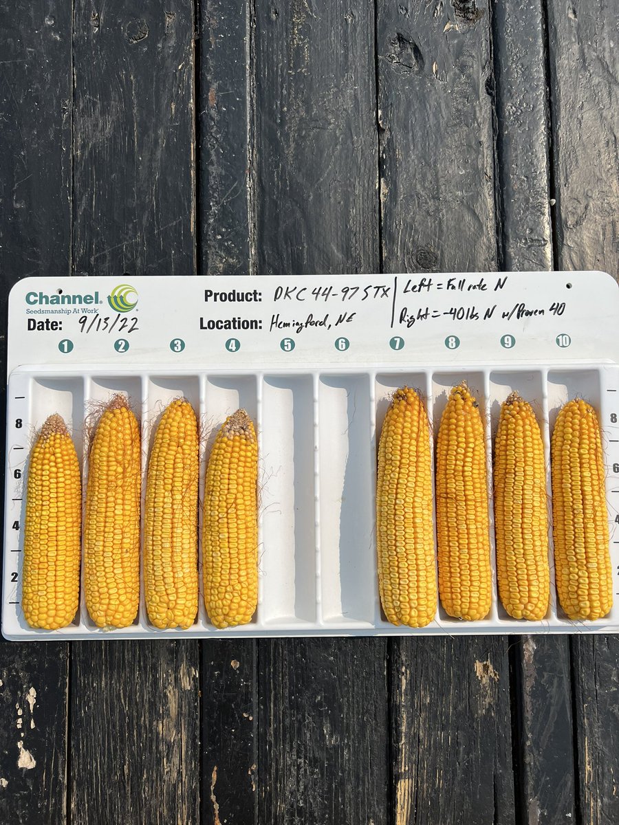 Clayton Kolling tweet media