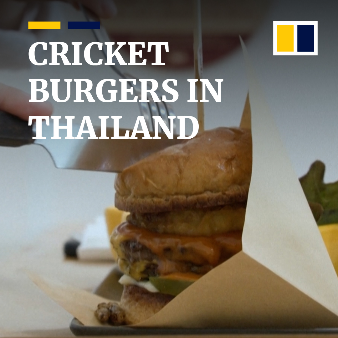 Bounce Burger is taking crickets beyond Thai street food menus, and its