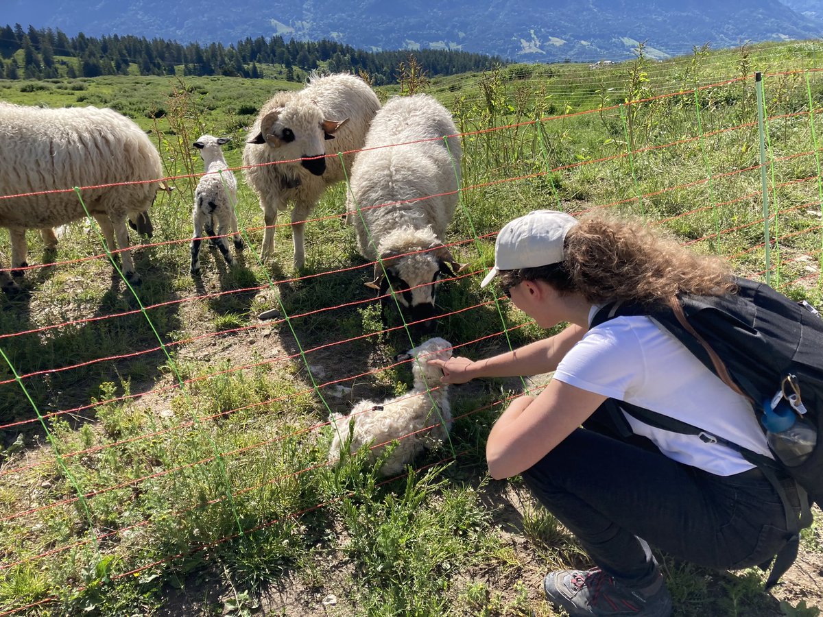 cladelcroix's tweet photo. De retour sur les bancs de l’@IPJdauphine après trois mois d’été à @f3Alpes ! Avec des reportages de la Meije au mont Blanc, les montagnes me manquent (déjà) un peu… 🙈 https://t.co/kECXNEX7Fv
