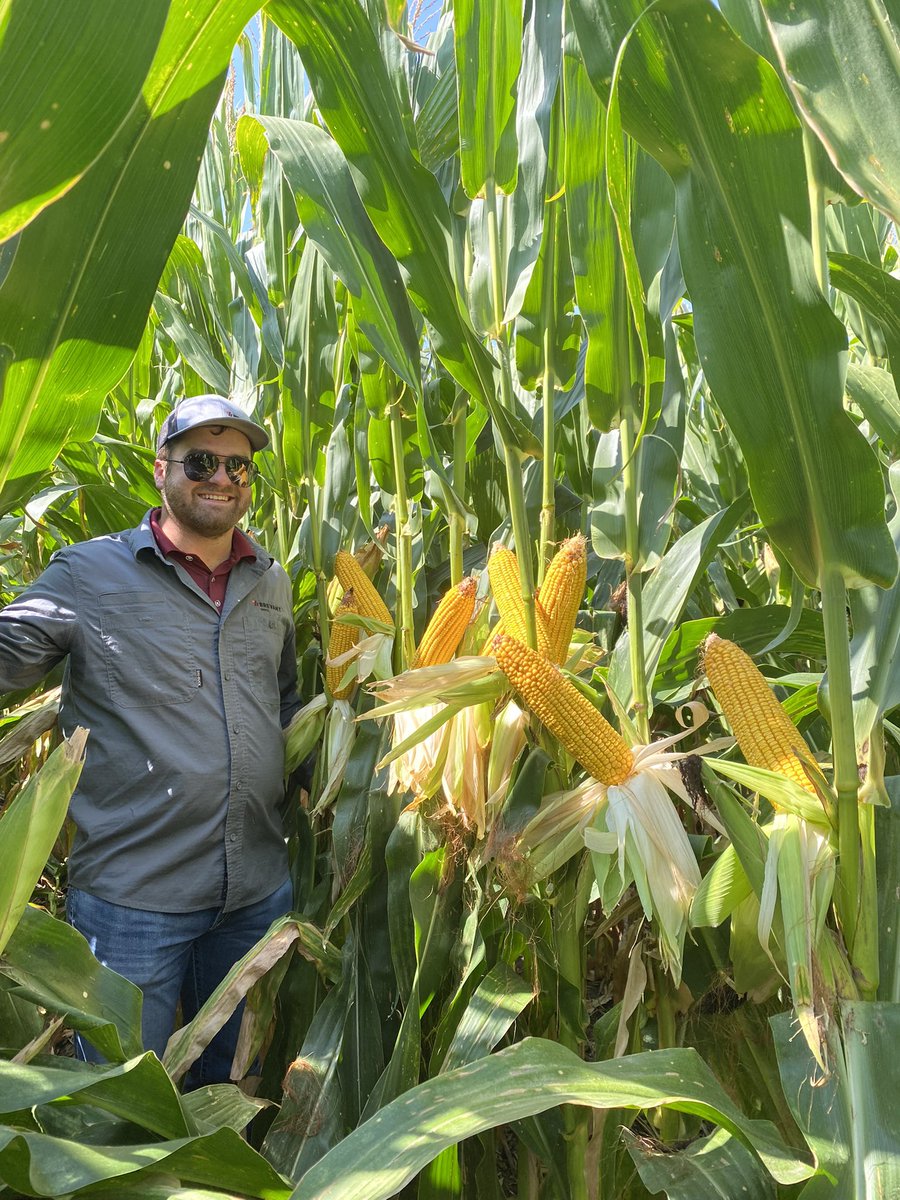 CraigSolomon88's tweet photo. Alex Brand is pumped about his Colorado portfolio 🇺🇸 🌽 @BrevantseedsUS https://t.co/nDBc3JiIKb
