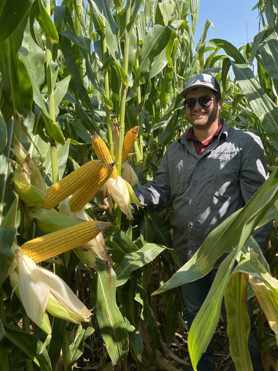CraigSolomon88's tweet photo. Alex Brand is pumped about his Colorado portfolio 🇺🇸 🌽 @BrevantseedsUS https://t.co/nDBc3JiIKb
