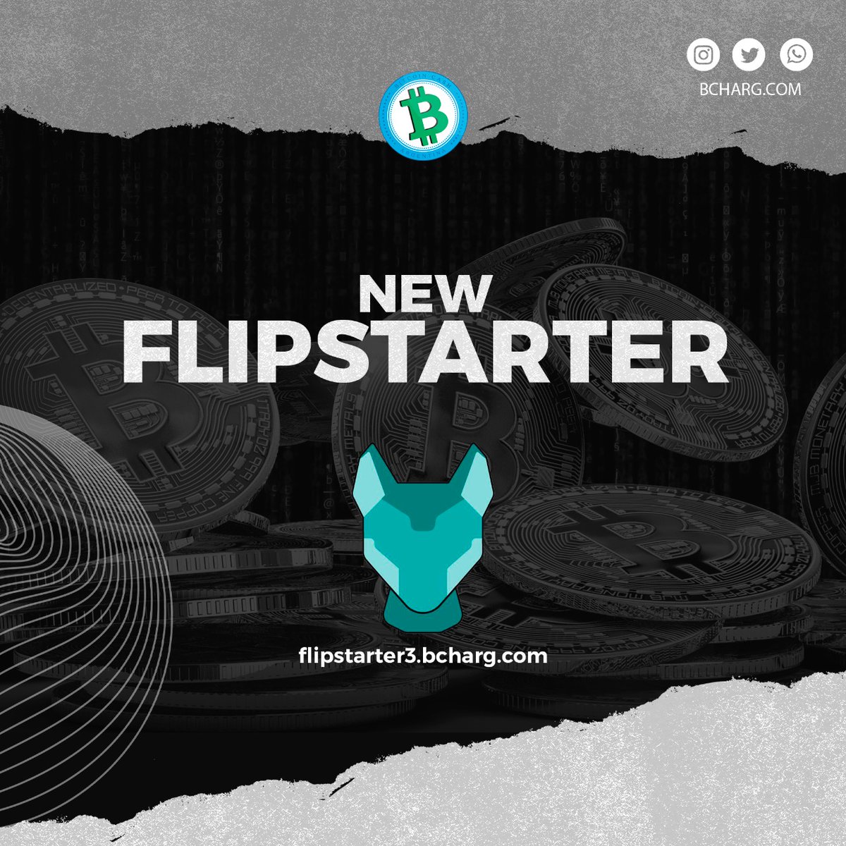 BCH Argentina's new Flipstarter campaign to push Bitcoin Cash adoption.
Let's go for more: New actions for the growth of the BCH Argentina community.
Flipstarter link: flipstarter3.bcharg.com +