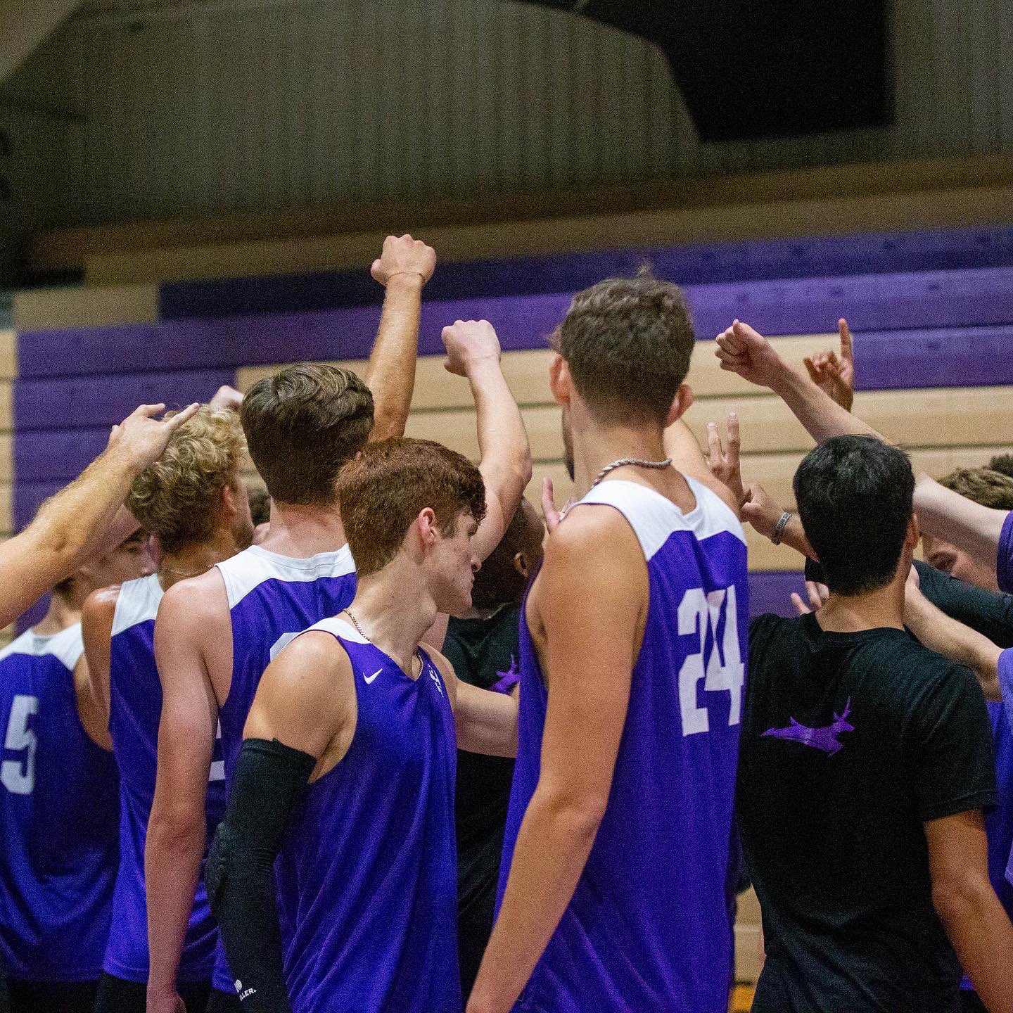 GCU Men's Volleyball on Twitter "Officially back in the gym 💪 LopesUp