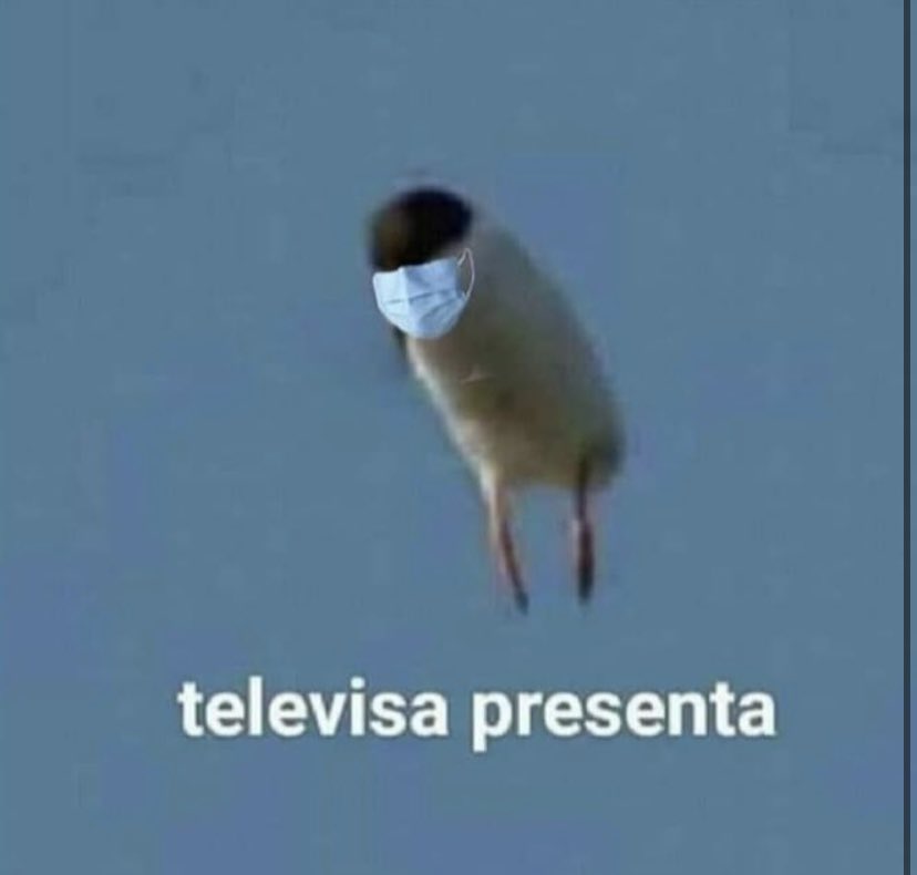 EGDhindues2022's tweet photo. Abro hilo de como termine en primera fila en el concierto de “The Backyardigans” y termine besándome a Tavyron @G5pro #EGDhindués2022 https://t.co/5dwipryoU1
