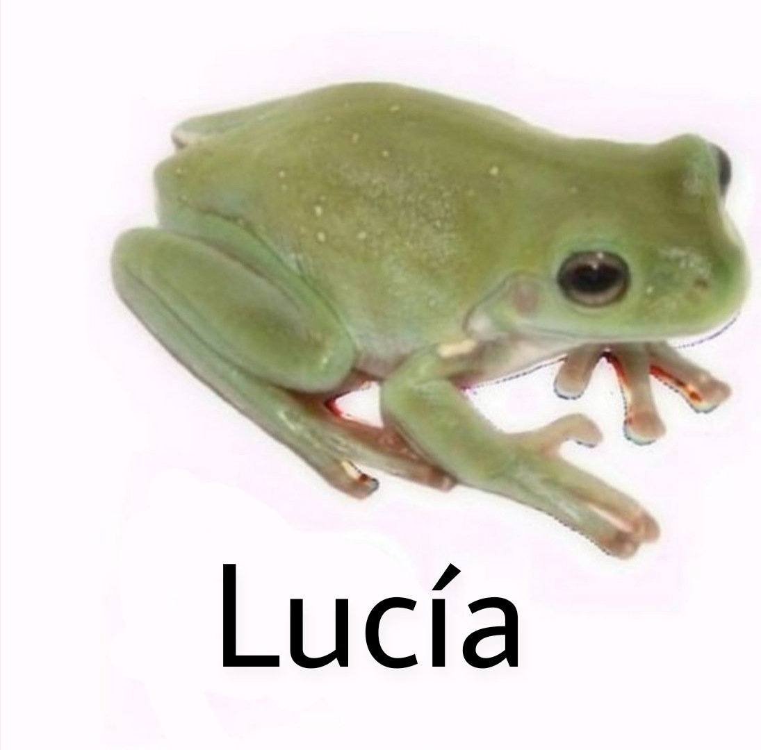 lucía