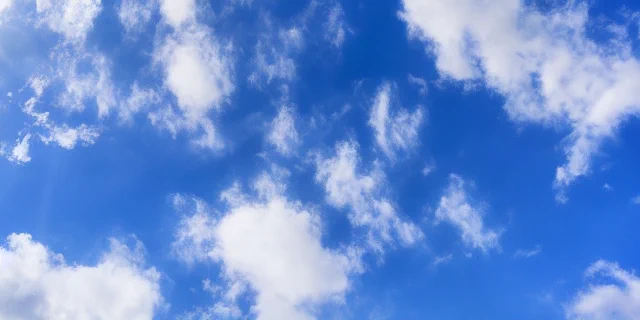 スペル試すの楽しい 