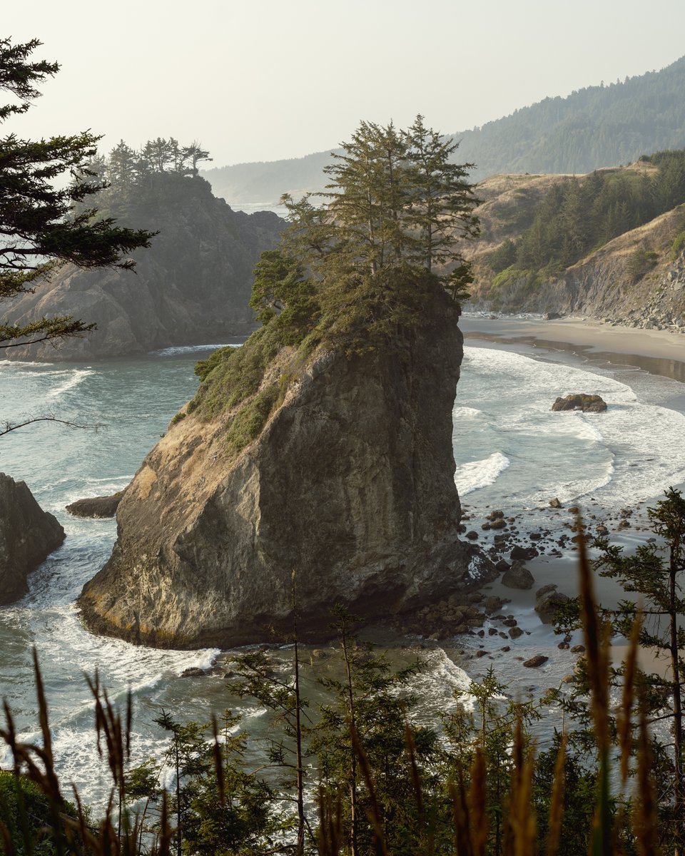 Oregon Coast 8/28/22