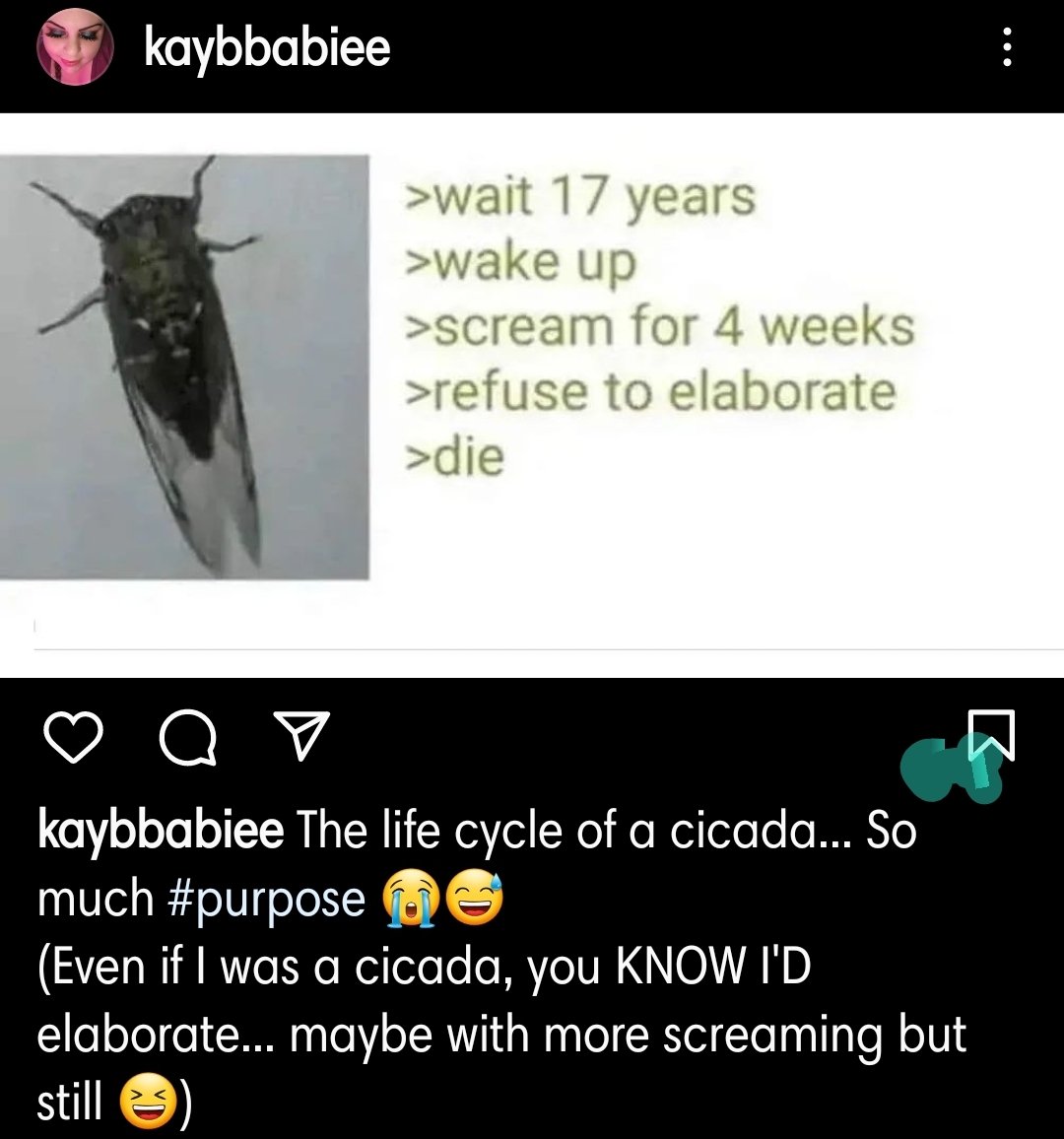 itsOKay1993's tweet photo. https://t.co/lgwdhyJk0e