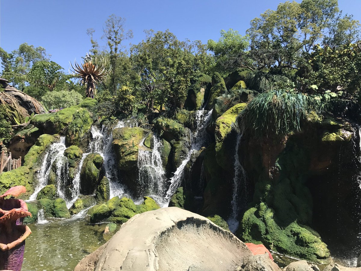 JamboEveryone's tweet photo. #PerfectDak https://t.co/ITecp59zqG