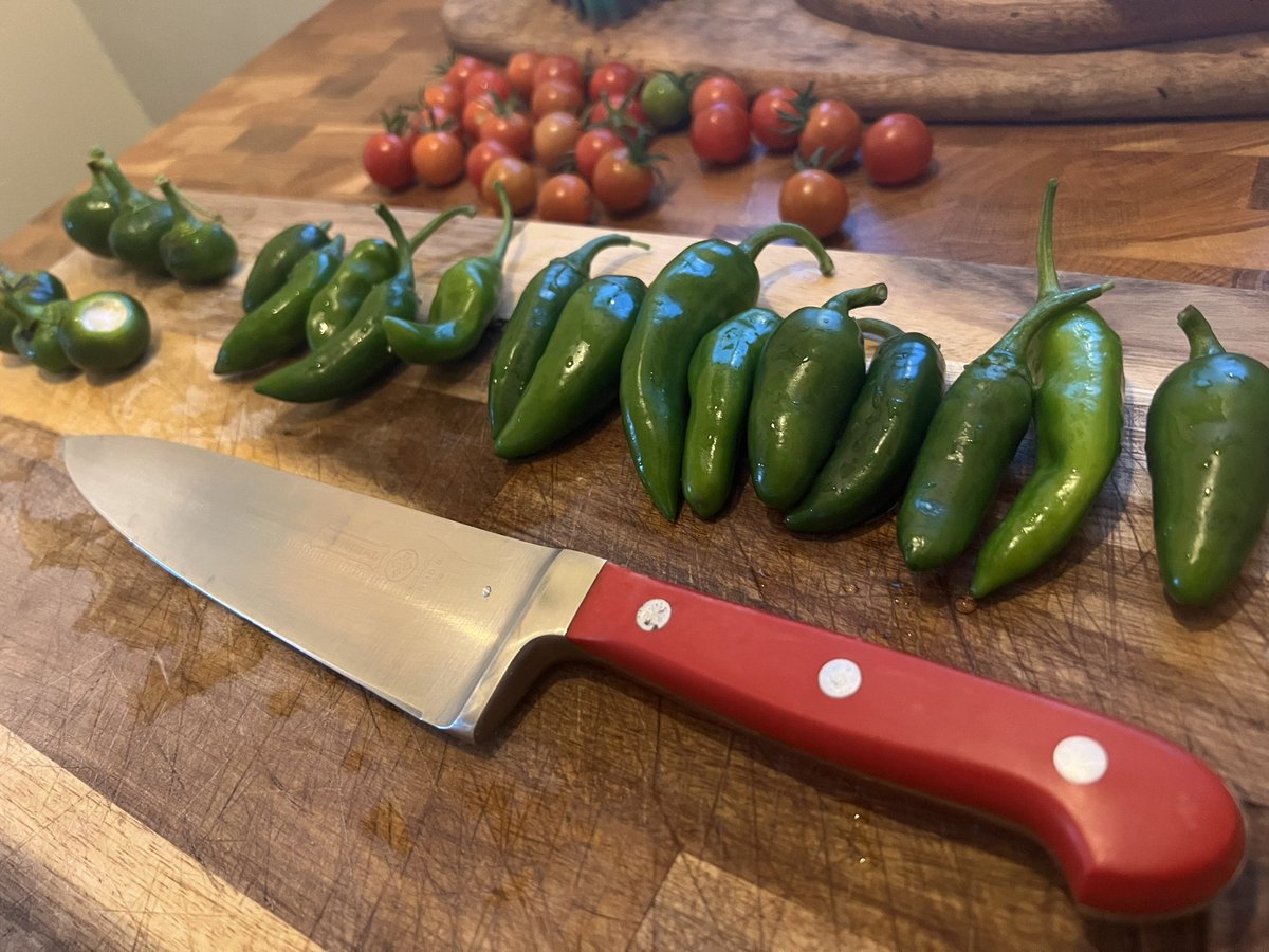Home made Jalapeño/Cherry Pepper sauce here we come!!
