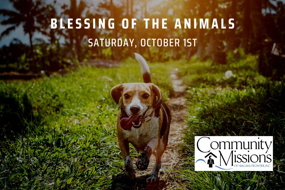 cminiagara's tweet photo. Counting down the days until we see all of your animal companions!🐶🐱🐰#blessingoftheanimals #NiagaraFalls #communitymissions https://t.co/QazPFkmmfr