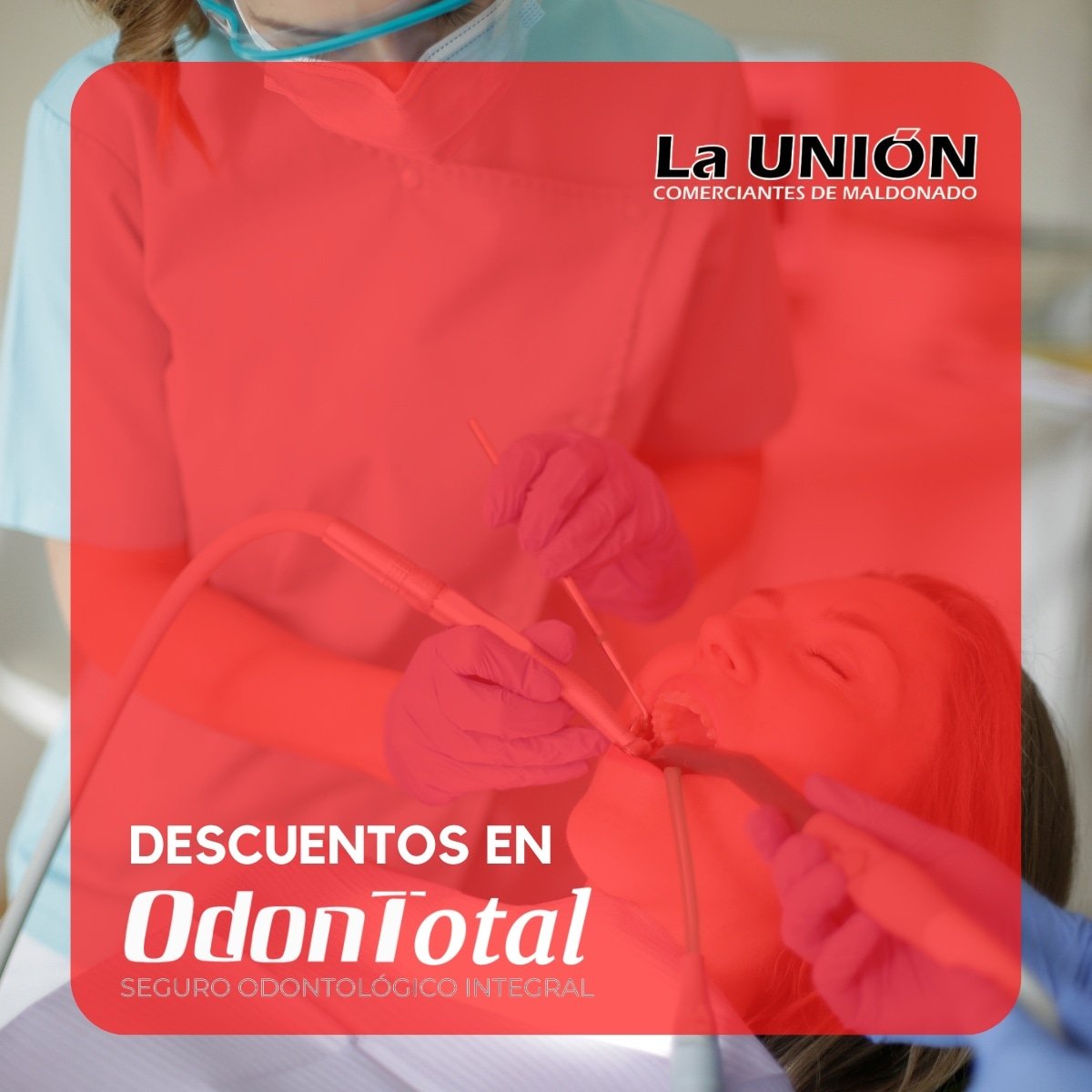 UDCMaldonado's tweet photo. Al ser socio de LA UNIÓN DE COMERCIANTES MALDONADO
accedes a muchos beneficios y descuentos ‼️

Por más info puedes comunicarte al 
☎️ 42227212 📲091 227 285
📍Ventura Alegre entre Rincón y San Carlos

#unión #comerciantes #minoristas #maldonado #uruguay 
#beneficios #descuentos https://t.co/cfLfuqkeTu
