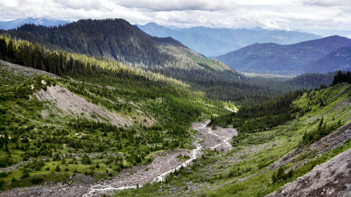 Forest Service NW tweet media