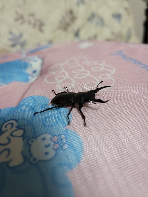 Twitterのコスプレ画像14