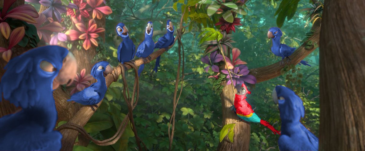 NillocFlow's tweet photo. Another edit I made.
I guess Blu (I mean red) is on the Spix Macaws side stealing their food. 
#Rio #Rio2 #Blu #spixmacaw #scarletmacaw #art https://t.co/2KSxd0k6Zw