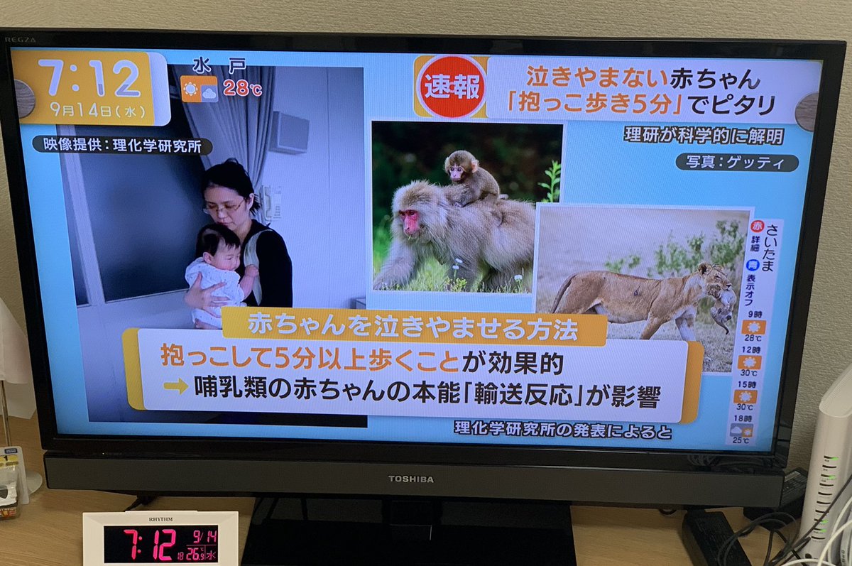 scratch_shaka's tweet photo. 理化学研究所で赤ちゃんが泣き止む方法見つけたんだって。速報扱いだったよ☺️ https://t.co/k8l1ilDWHJ