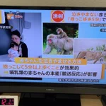 【速報】理化学研究所が発見!？赤ちゃんが泣き止む方法はまさかの方法だった…。