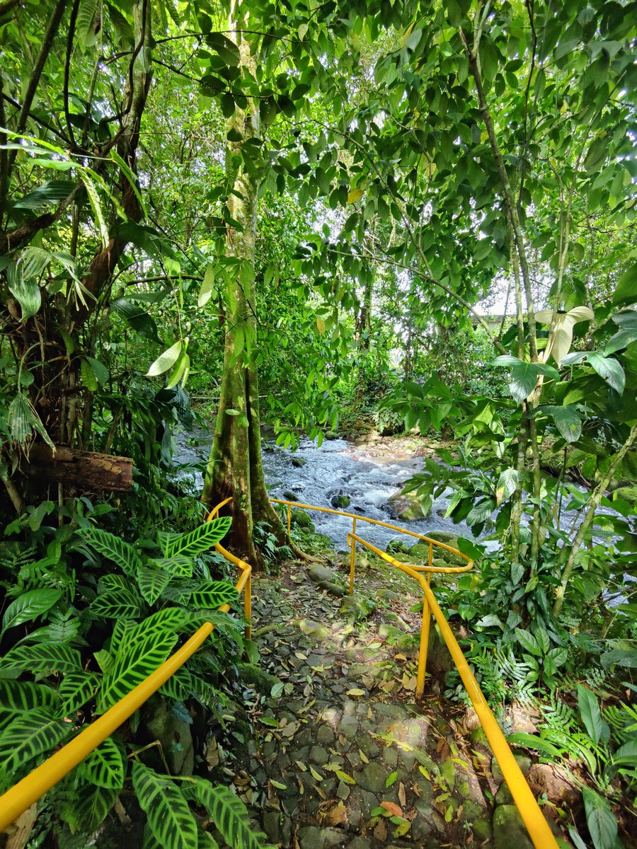 Costa Rica, #PuraVida