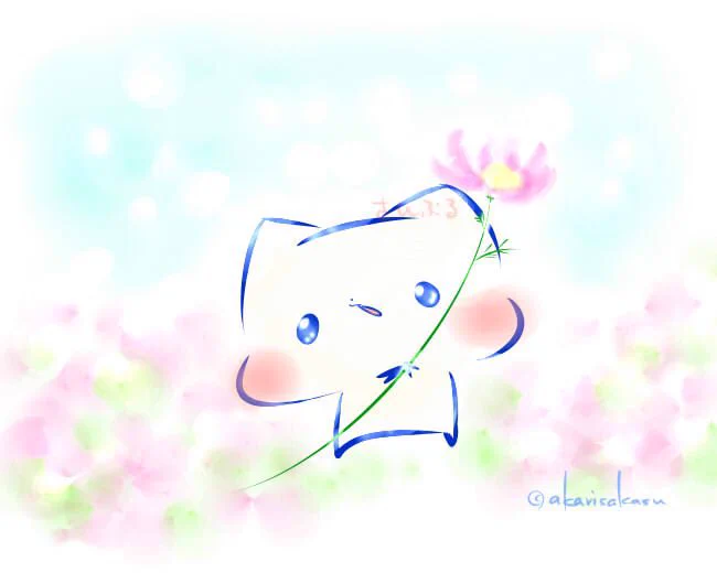 今日は、コスモスの日。プレゼントにコスモスを添えて交換し合って、愛を確かめる日といわれているそうです。 #ましまろう 