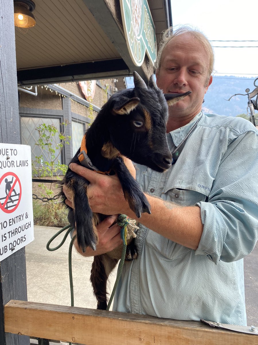 kimdizzne65's tweet photo. Took my sister for a belated birthday lunch at our local pub and met these two. #Lionsheadsmokebrewpub #bestfriesever #malinois #penny #goats #greeneggsandham https://t.co/vMFSMPFgXi