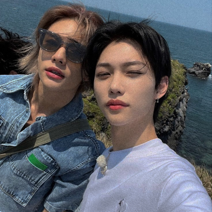 stray_aus tweet picture