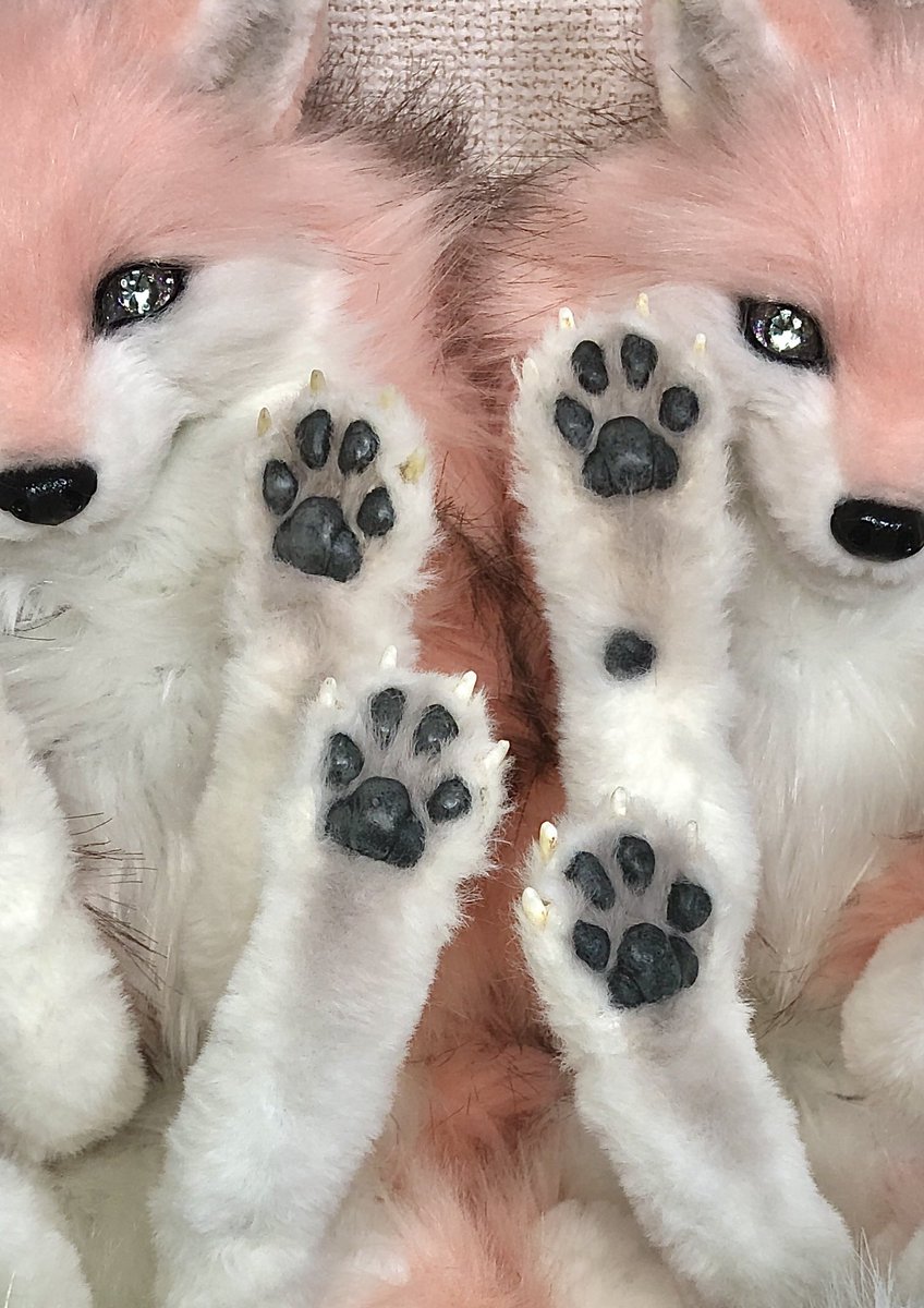 アートドール イヌ科コレクション2番 1匹のみのお譲りです Trabzonotokurtarma Com