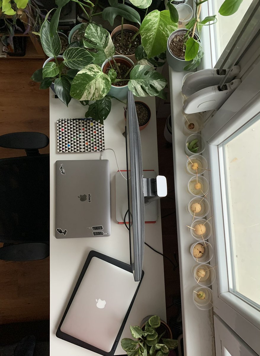 plants.rs tweet media