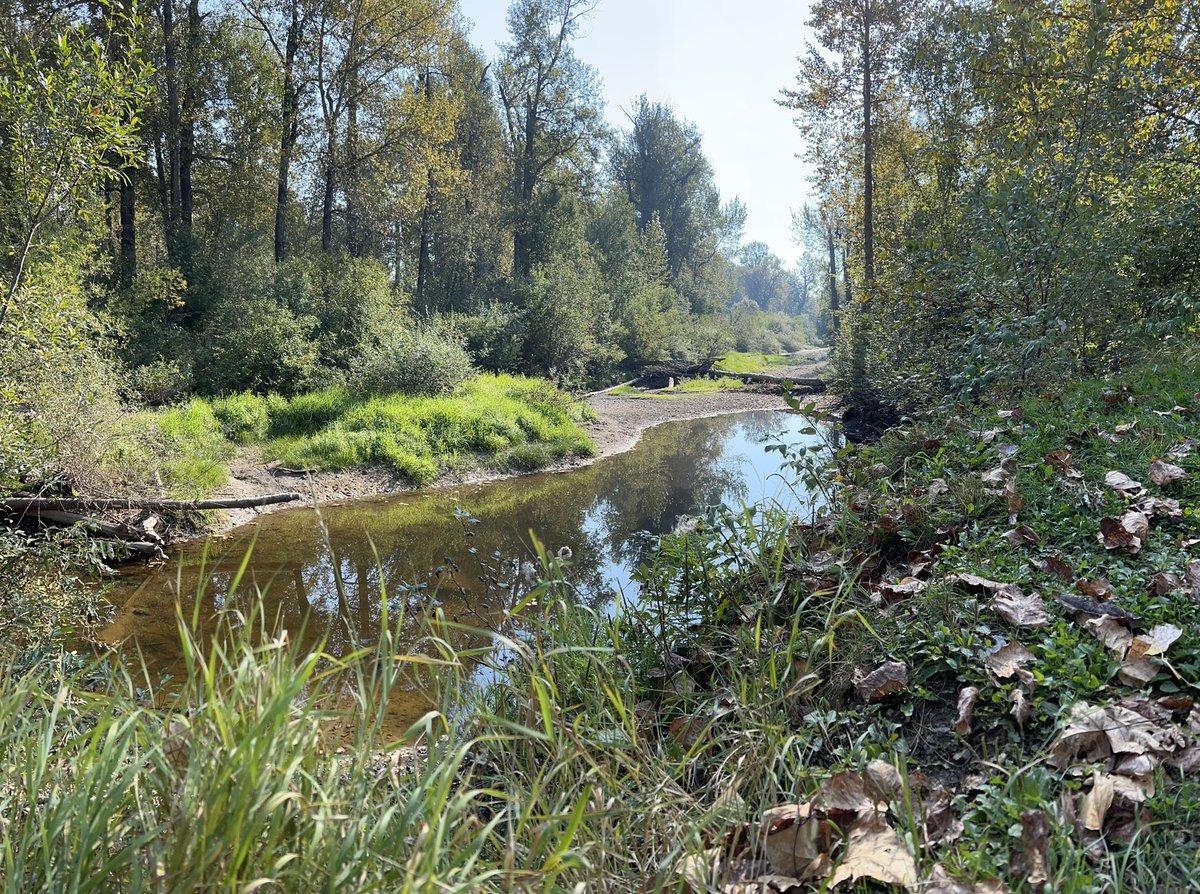 Outdoor learning is superior🌳🌸