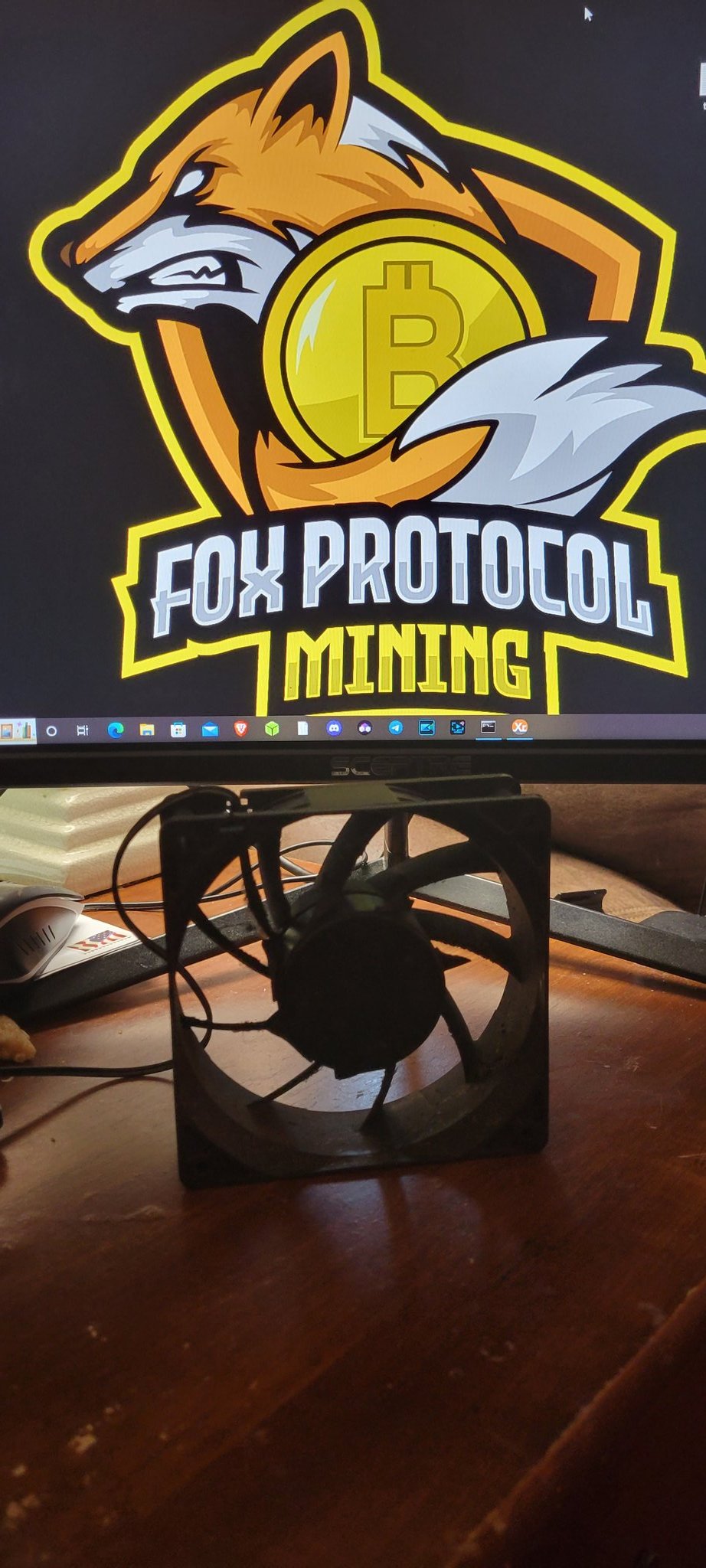 Fox Protocol Mining on Twitter: