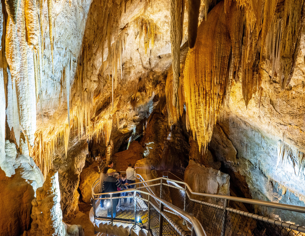 TasmaniaParks's tweet photo. We look forward to seeing you soon!

https://t.co/gbNVCNS2QO https://t.co/X2kK2fkgsn