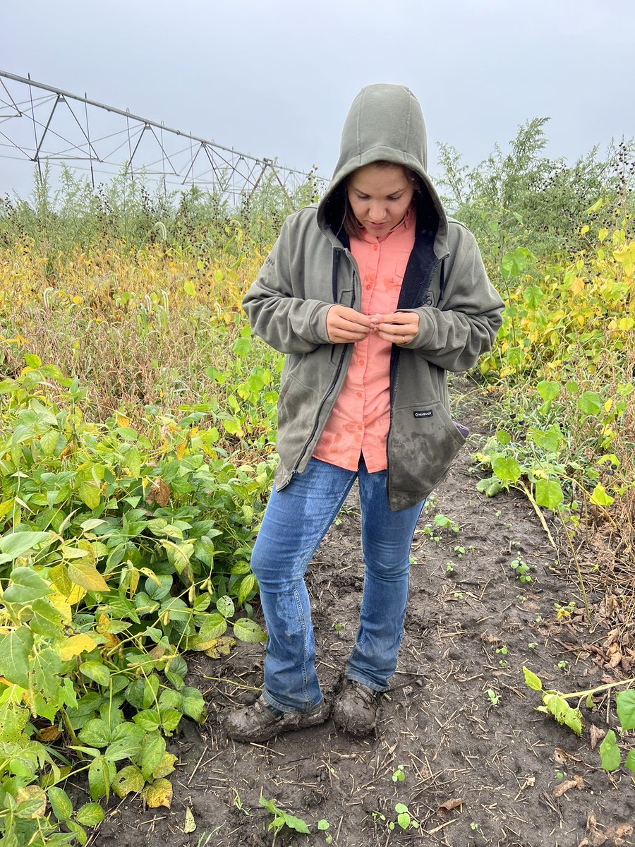 Monica Mizuno (@mizuno_monica) on Twitter photo Don’t trust weather apps. We tried rating white mold at Pinney, but it wasn’t a good day for it. <a href="/DTelenko/">Darcy Telenko</a> @sroccocamila Don’t trust weather apps. We tried rating white mold at Pinney, but it wasn’t a good day for it. <a href="/DTelenko/">Darcy Telenko</a> @sroccocamila