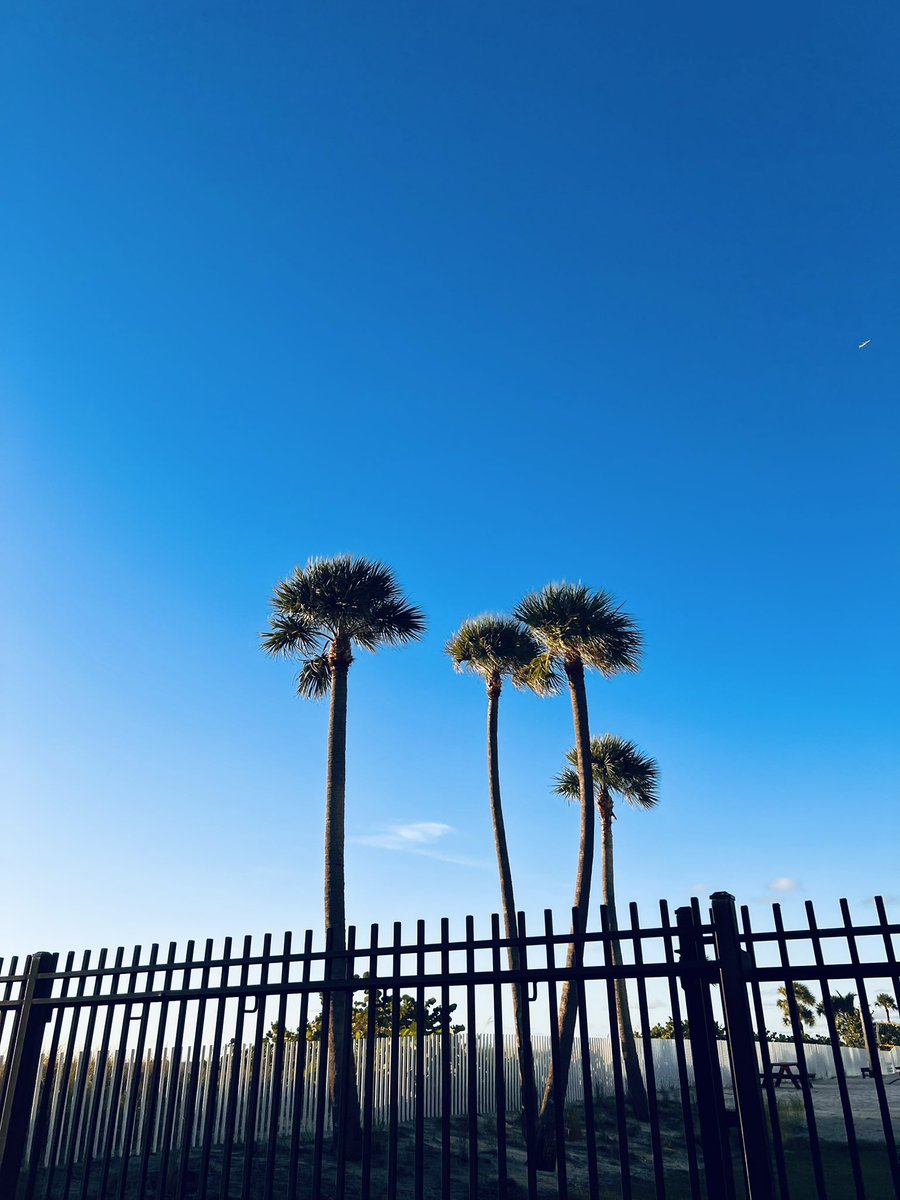 Shub_1604's tweet photo. #Miami #NaturePhotography
#naturelovers
#beachpeace
#๐๐ https://t.co/VgQmDlUUtX