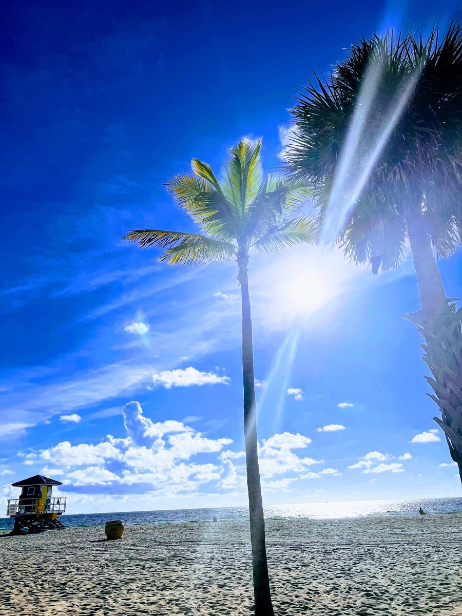 Shub_1604's tweet photo. #Miami #NaturePhotography
#naturelovers
#beachpeace
#๐๐ https://t.co/VgQmDlUUtX