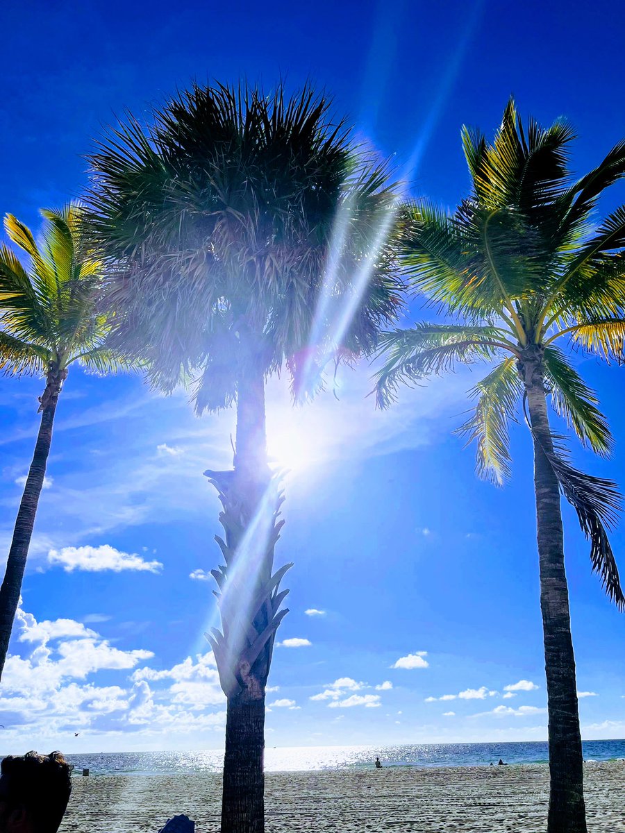 Shub_1604's tweet photo. #Miami #NaturePhotography
#naturelovers
#beachpeace
#๐๐ https://t.co/VgQmDlUUtX