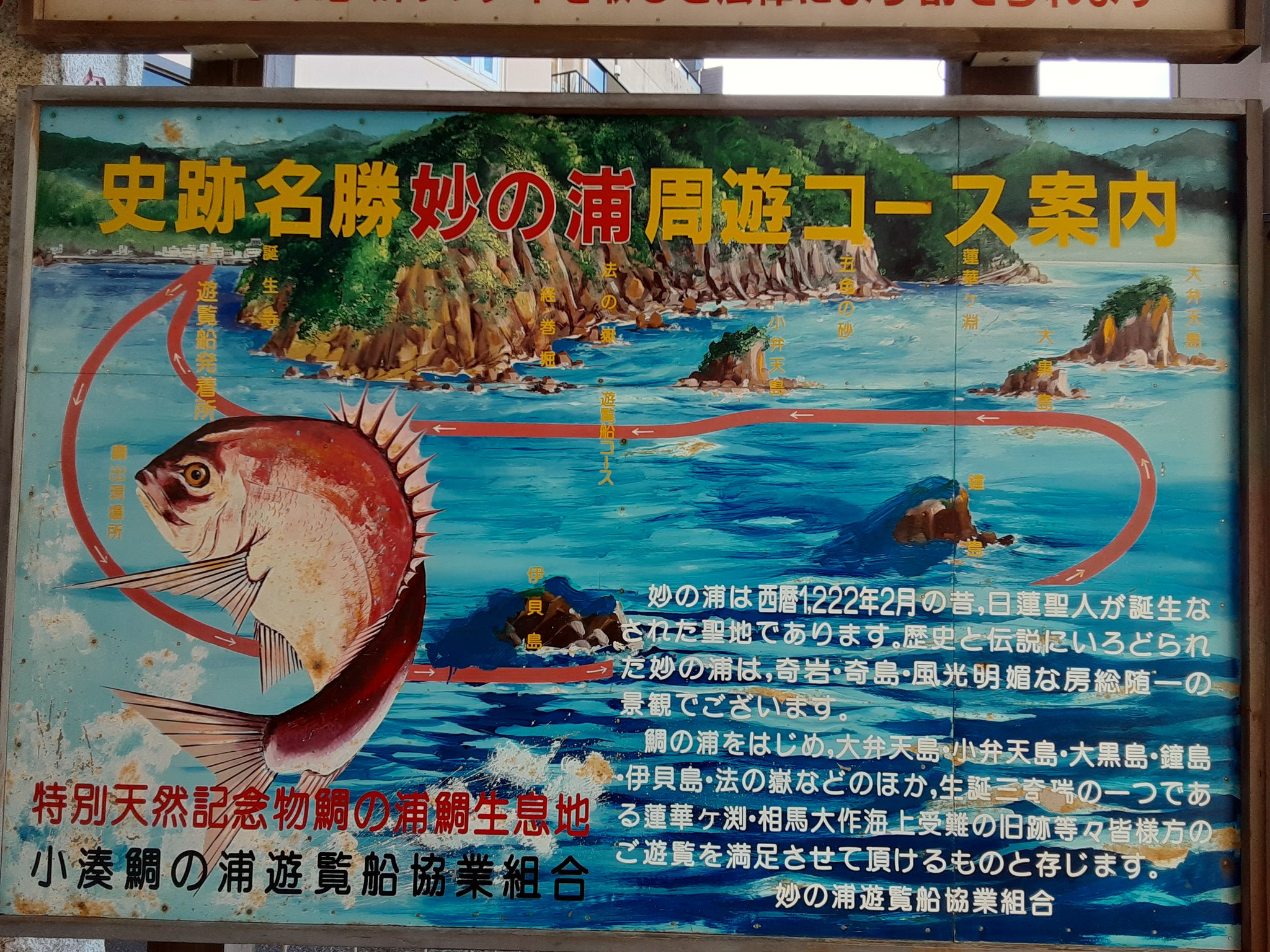鯛の浦遊覧船 Tainoura Twitter
