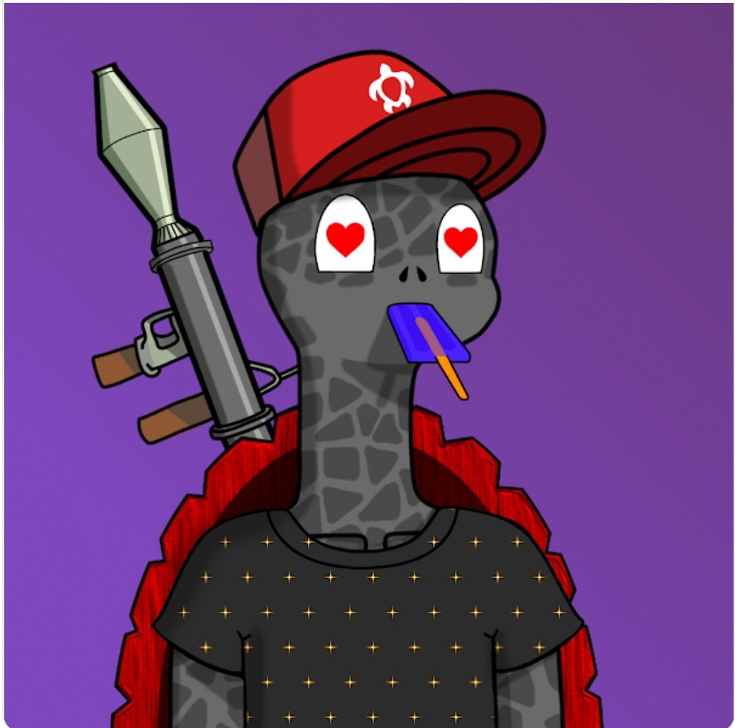 Turtles Untamed tweet media