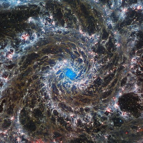 MargemSultejano's tweet photo. #NewProfilePic #JWST #PhantomGalaxy https://t.co/8bJlGjjGxR