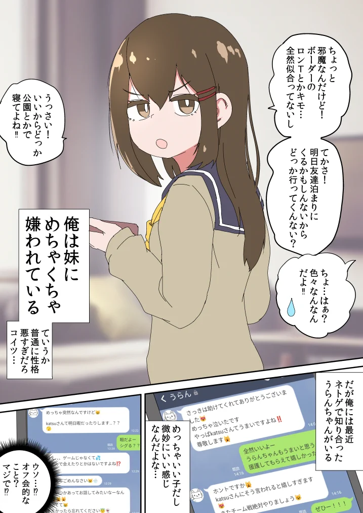 妹に嫌われているけれど…オフ会をしたら妹が来た！
