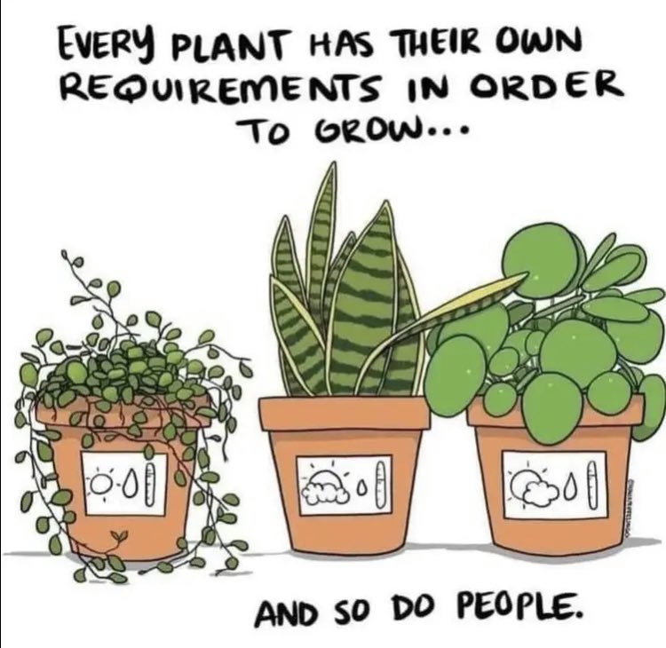 Love this!  💚 <a href="/gecdsb/">GECDSB</a>