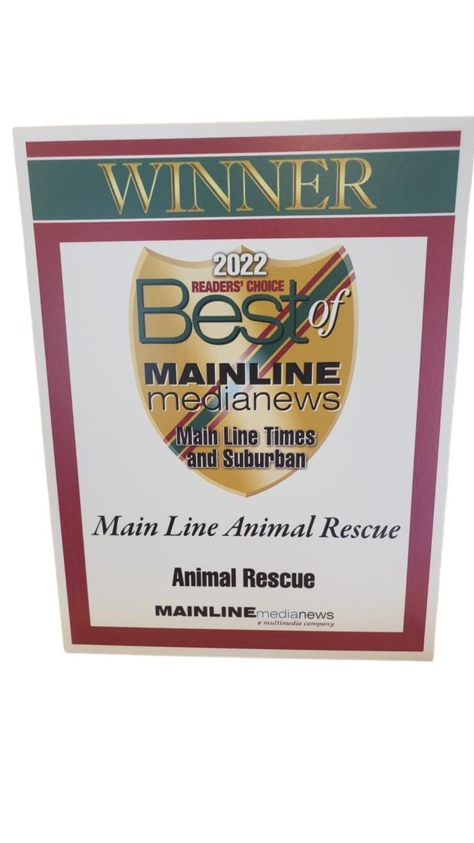MainLineRescue's tweet image. We were just named  ⭐️ Best Animal Rescue ⭐️ in the 2022 Reader’s Choice Best of Main Line Media News!! @MLMediaNews #bestofmainline #mainline #mlar