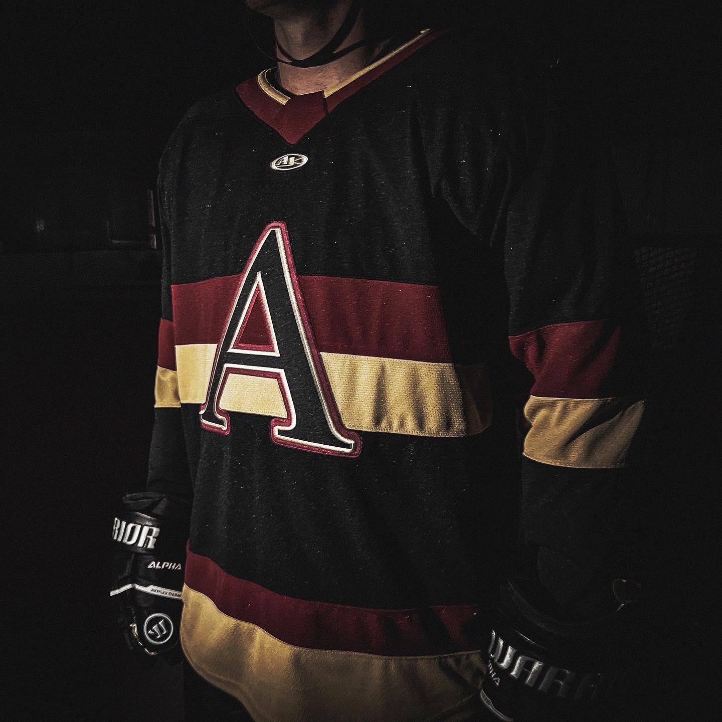 Atlanta Gladiators on X: Take a first look at the new-look Glads' home  & road jerseys!  / X