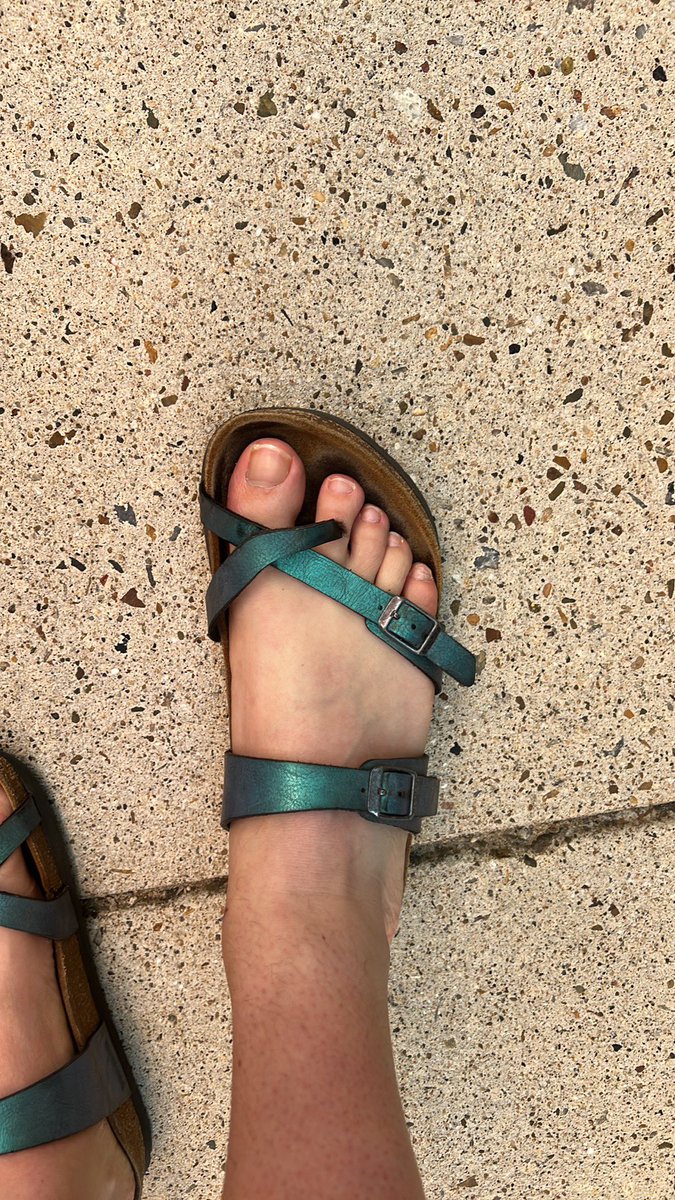 Heather Aitken tweet media