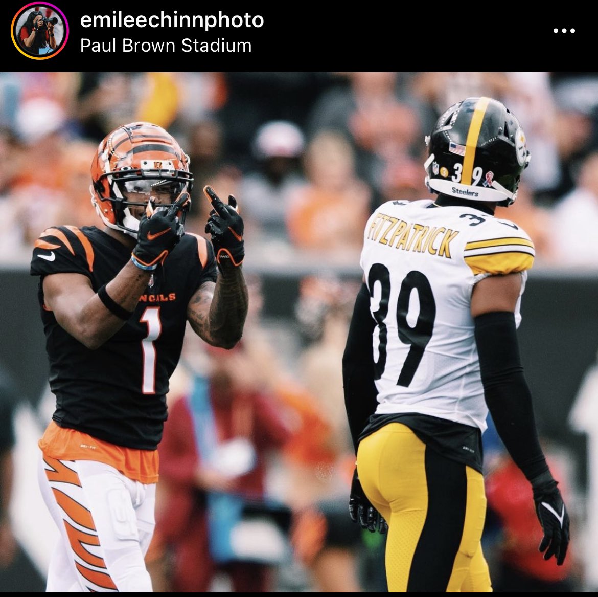 SteelersBengals See Chase hilariously show Fitzpatrick double birds