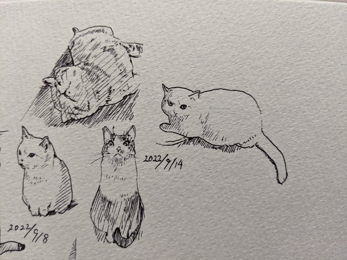 今日は食器棚を売っちゃうよ カキカキ。 