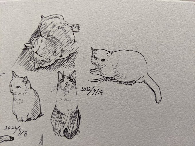 今日は食器棚を売っちゃうよ カキカキ。 