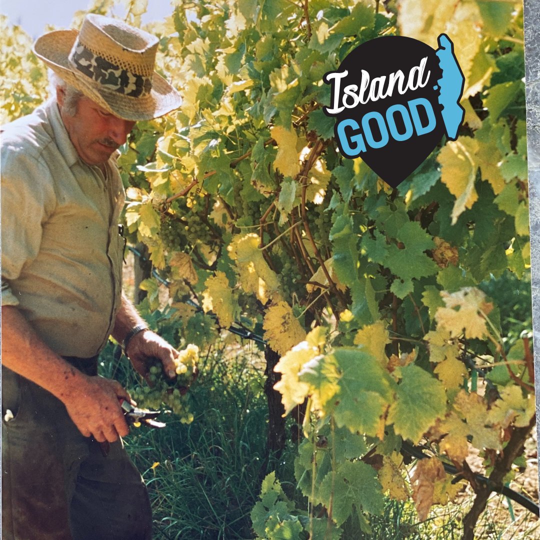 Island Good (@islandgoodbrand) on Twitter photo Check out this article in Island Farm and Garden for an #IslandGood cider and wine tour featuring <a href="/SeaCiderhouse/">Sea Cider Farm & Ciderhouse</a>, Unsworth Vineyards, <a href="/zanattawinery/">Zanatta Winery</a> and <a href="/40KnotsWinery/">40 Knots Winery</a>.
ow.ly/UTqz50KICfO
đź“·Dennis Zanatta courtesy of <a href="/zanattawinery/">Zanatta Winery</a> Check out this article in Island Farm and Garden for an #IslandGood cider and wine tour featuring <a href="/SeaCiderhouse/">Sea Cider Farm & Ciderhouse</a>, Unsworth Vineyards, <a href="/zanattawinery/">Zanatta Winery</a> and <a href="/40KnotsWinery/">40 Knots Winery</a>.
ow.ly/UTqz50KICfO
đź“·Dennis Zanatta courtesy of <a href="/zanattawinery/">Zanatta Winery</a>