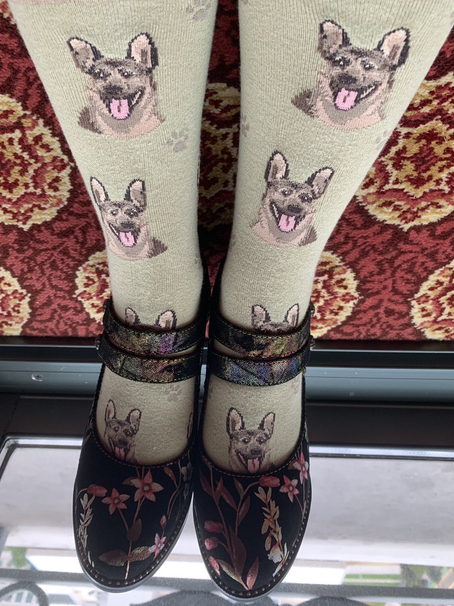 Ckchams's tweet photo. #socksofhas22 shepherding data to drive better outcomes and financial performance https://t.co/sTIgyaGJyY